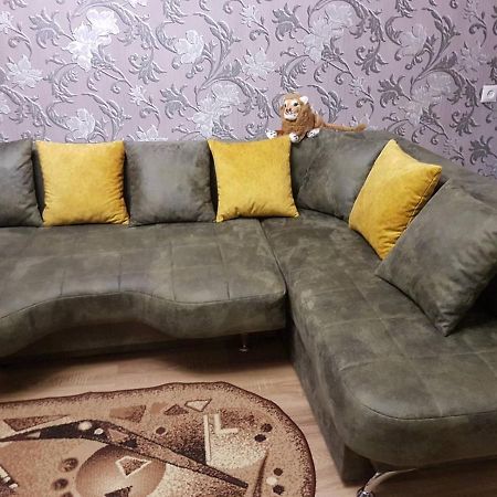 2Х Комнатная С Ремонтом В Центре.Renovated, Center Apartamento Khmelʼnytsʼkyy Exterior foto